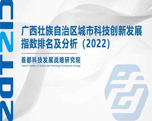 嗯想要抠逼【成果发布】广西壮族自治区城市科技创新发展指数排名及分析（2022）